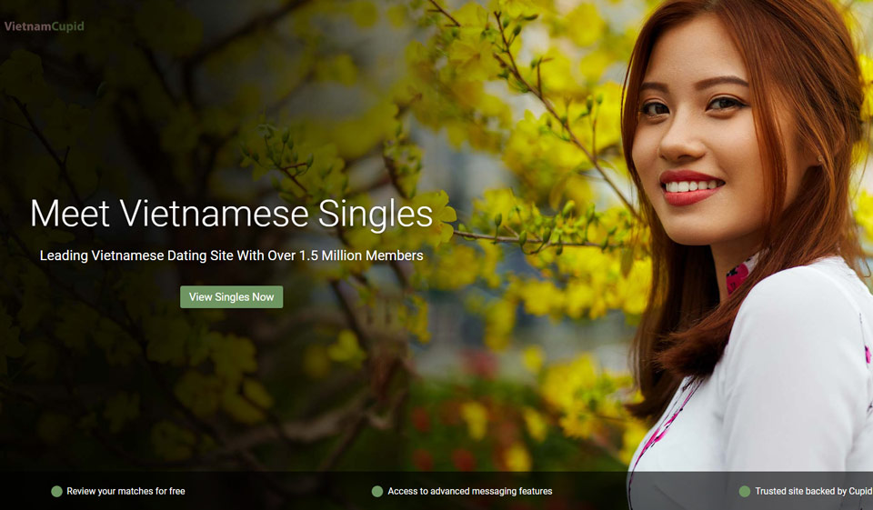 Recensione di VietnamCupid
